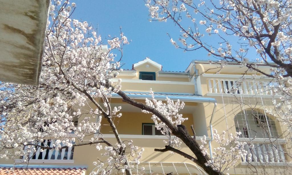 Apartments Meri 沃迪切 外观 照片